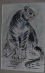 Poes Minoes